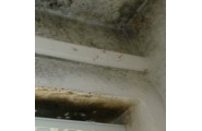 Fighting Mould Growth with Insulation