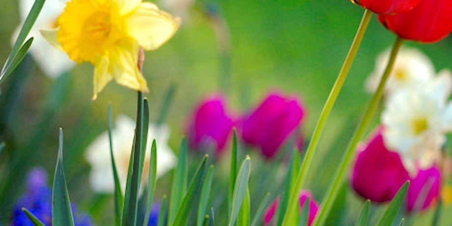Does Spring Affect the Necessity for Insulation Does Spring Affect the Necessity for Insulation