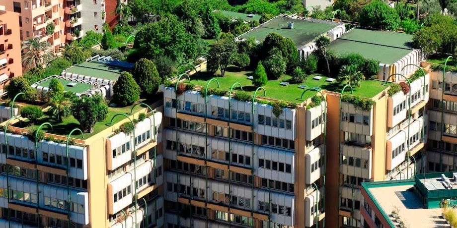 What is New with Green Roofs What is New with Green Roofs