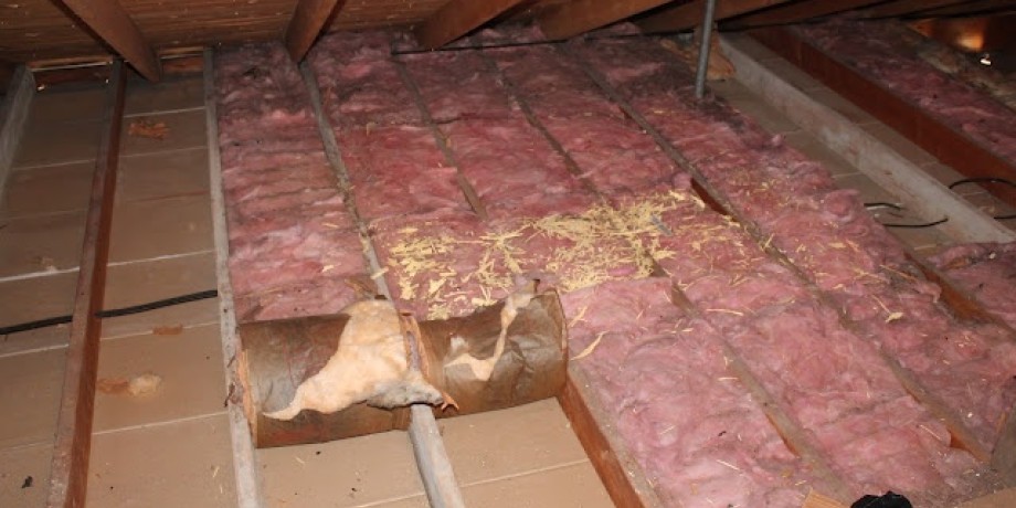 Attic Insulation is not only Important for the Winter Attic Insulation is not only Important for the Winter