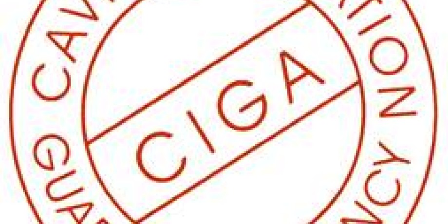 Basic Info on Cavity Insulation Guarantee Agency Basic Info on Cavity Insulation Guarantee Agency