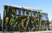 Going Green with Home Insulation