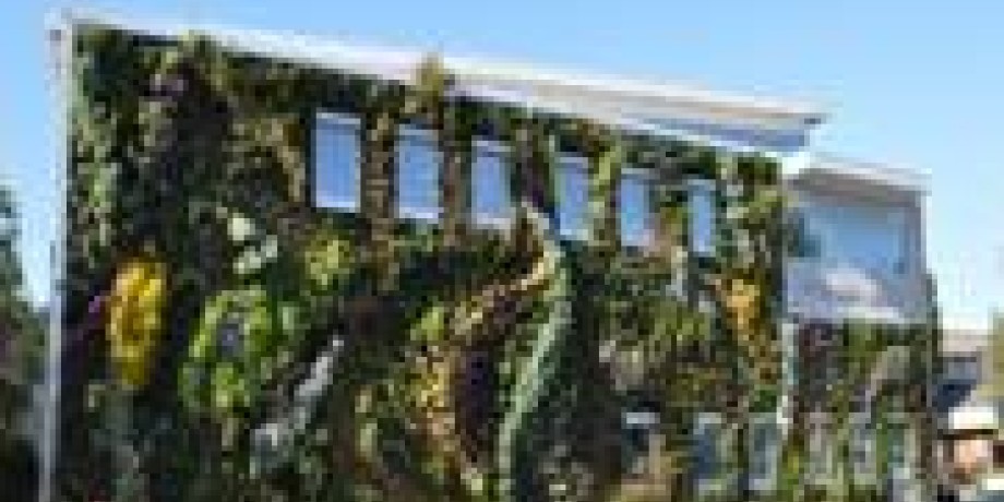 Going Green with Home Insulation Going Green with Home Insulation