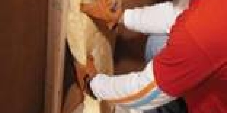Internal Wall Insulation Systems Internal Wall Insulation Systems