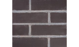 Smooth Brown 500 