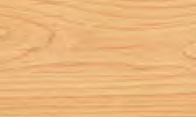 Beech 