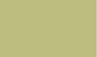 RAL 1000 - Green beige 