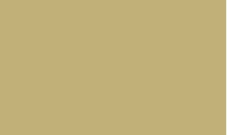 RAL 1001 - Beige 
