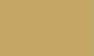 RAL 1002 - Sand yellow 