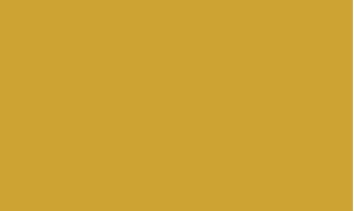 RAL 1004 - Golden yellow 